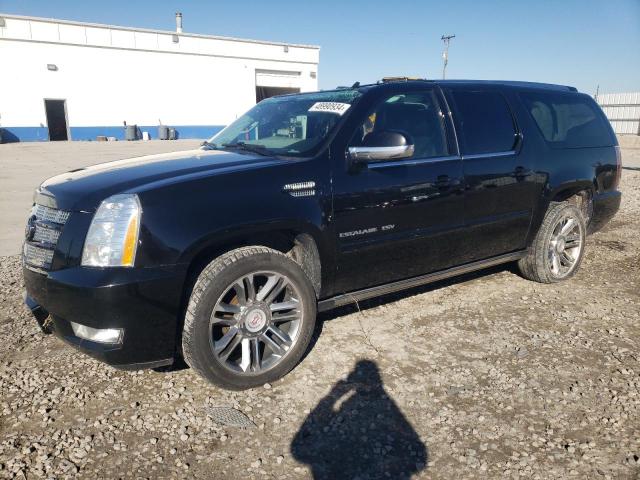  Salvage Cadillac Escalade