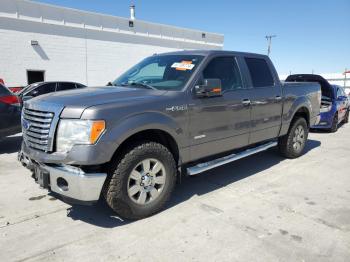  Salvage Ford F-150