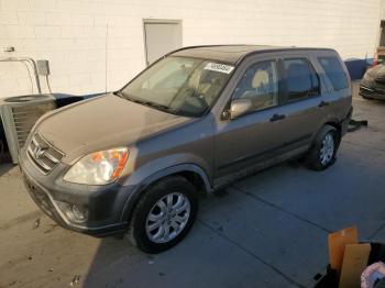  Salvage Honda Crv