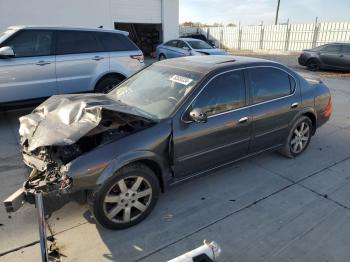  Salvage Nissan Maxima