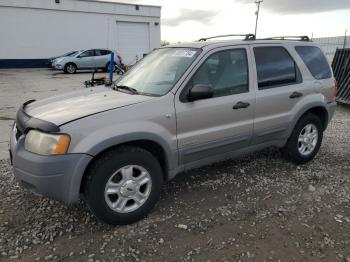  Salvage Ford Escape