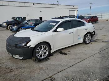  Salvage Nissan Maxima