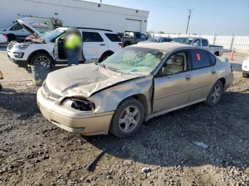  Salvage Chevrolet Impala