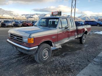  Salvage Ford F-250