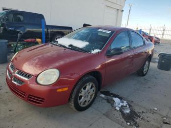  Salvage Dodge Neon