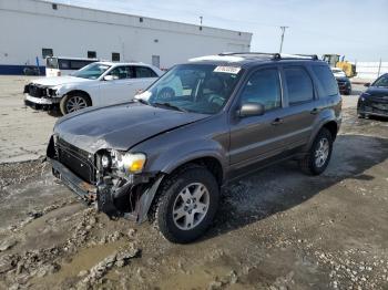  Salvage Ford Escape