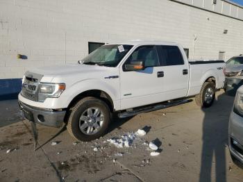  Salvage Ford F-150