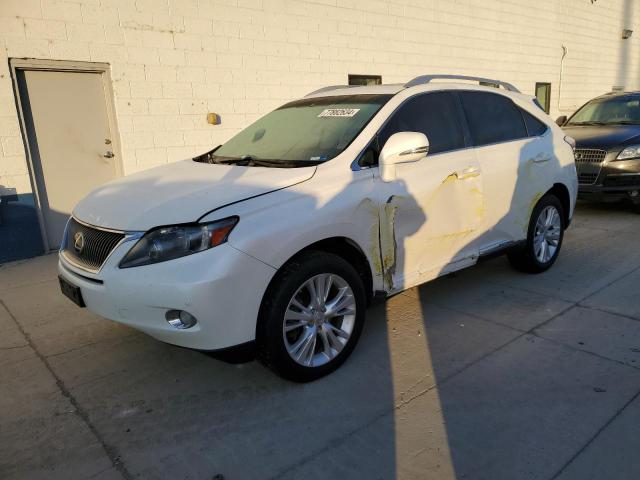  Salvage Lexus RX