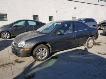  Salvage Dodge Neon