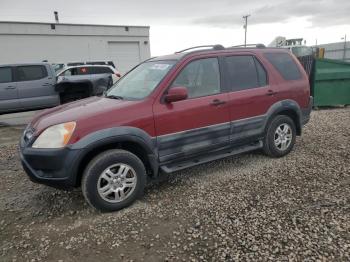  Salvage Honda Crv