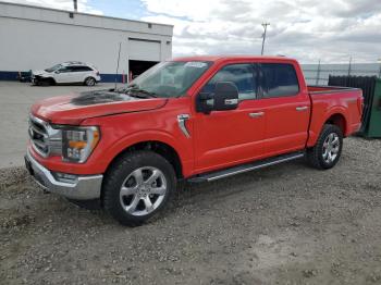  Salvage Ford F-150