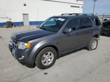  Salvage Ford Escape