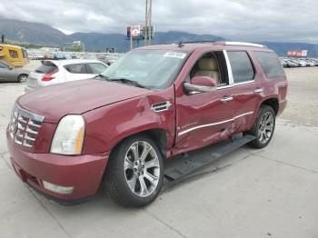  Salvage Cadillac Escalade