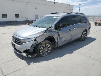  Salvage Honda Odyssey