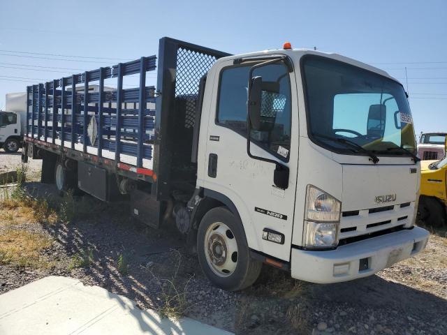 Isuzu Nrr Image 2