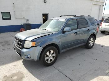  Salvage Ford Escape