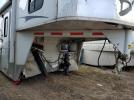 Bision Horse Camp Image 10