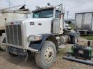 Peterbilt 367 Image 4