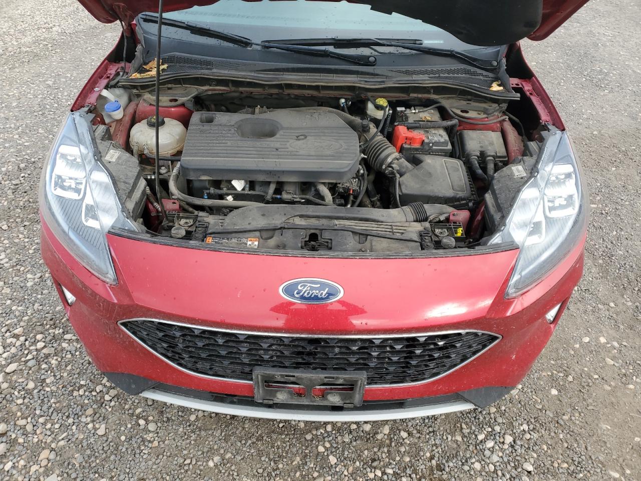 Ford Escape Titanium Image 7