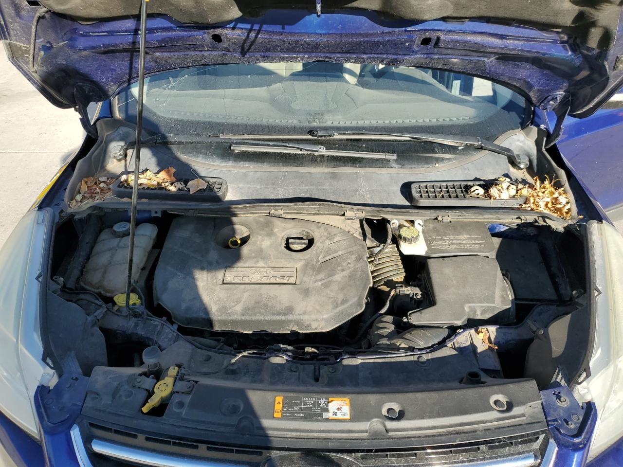 Ford Escape Sel Image 13