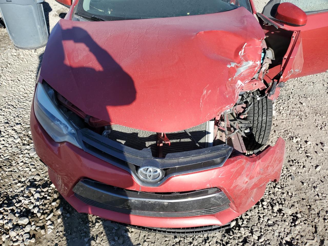 Toyota Corolla L Image 4