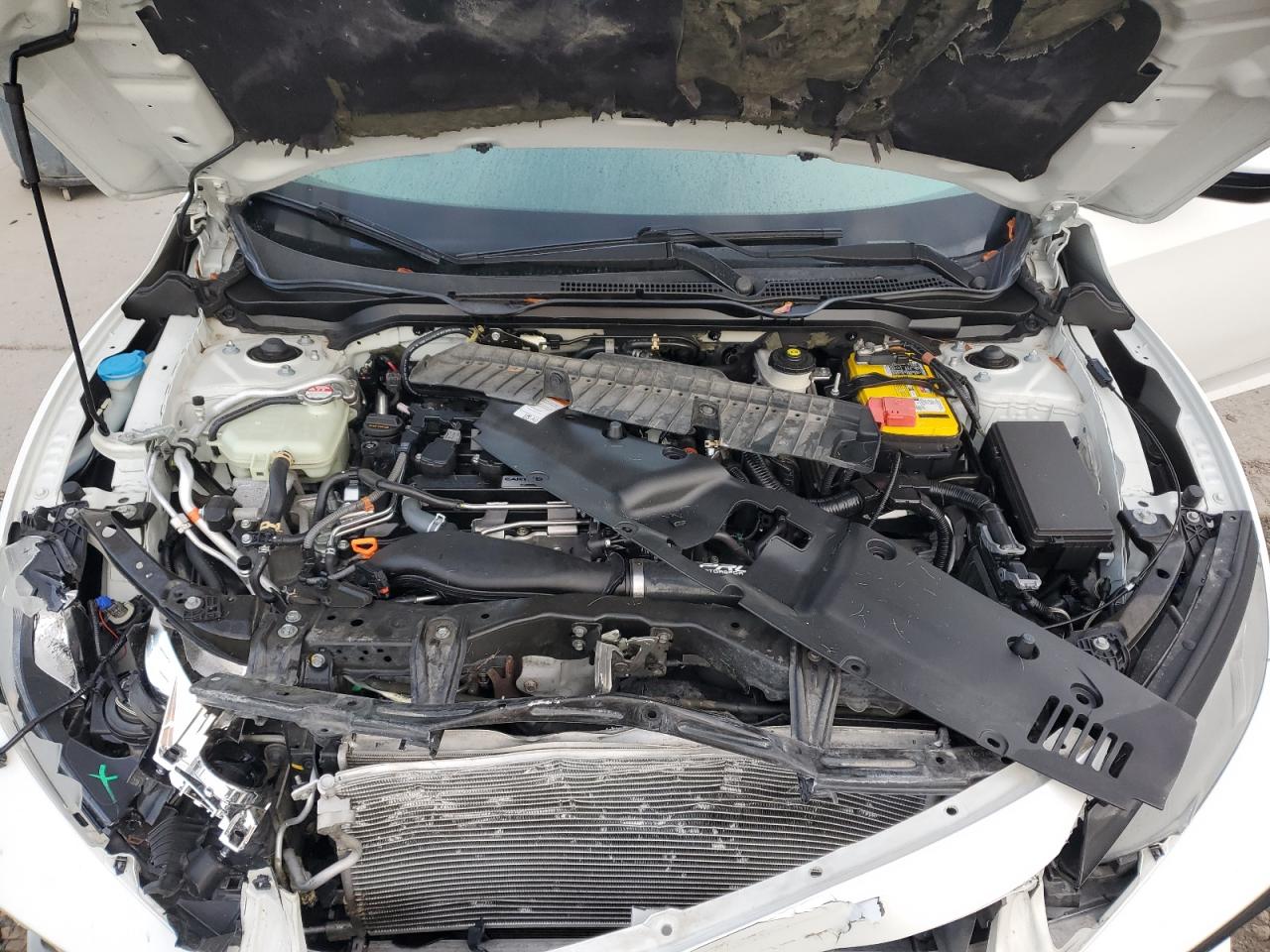 Honda Civic Si Image 8