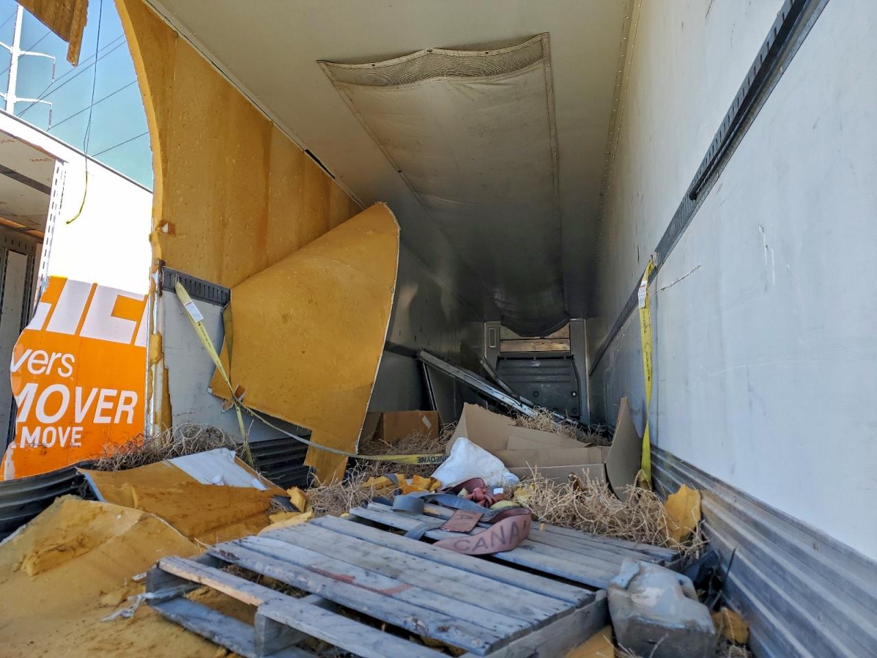 Great Dane Reefer Image 2