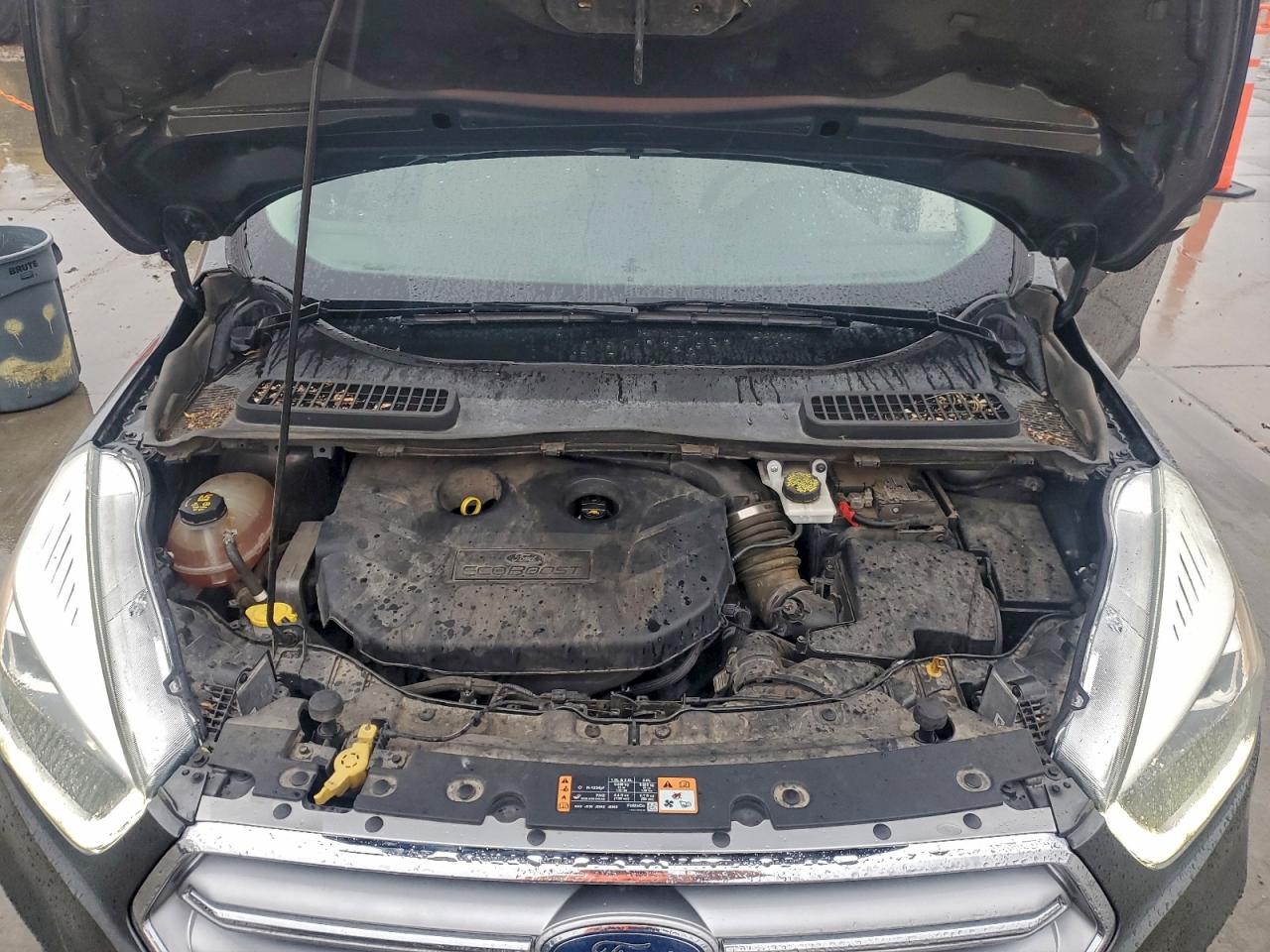 Ford Escape Titanium Image 8