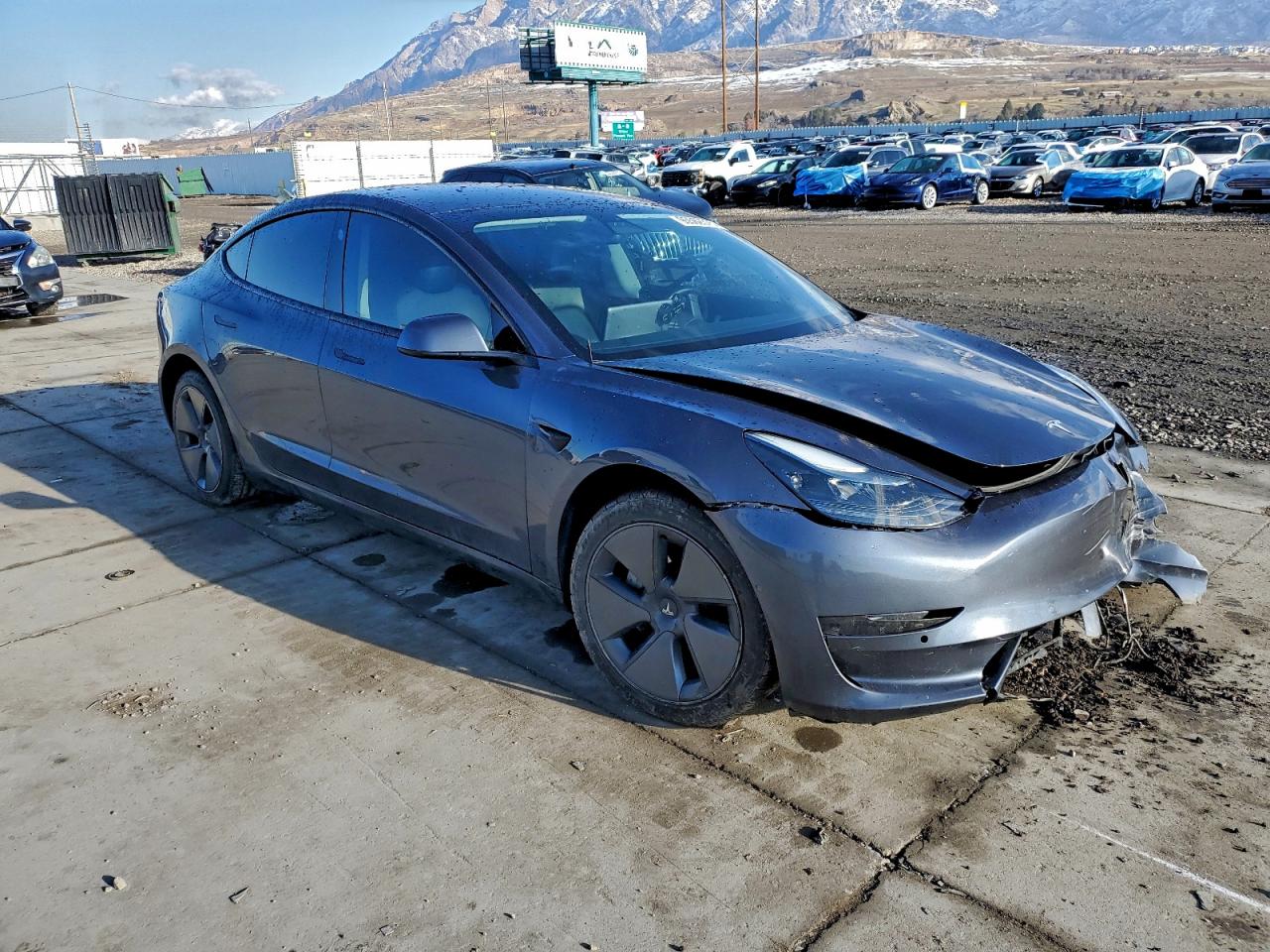 Tesla Model 3 Image 4