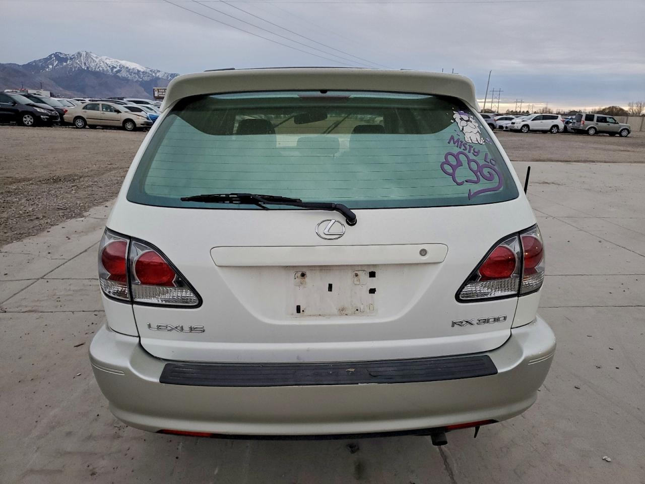 Lexus RX 300 Image 5