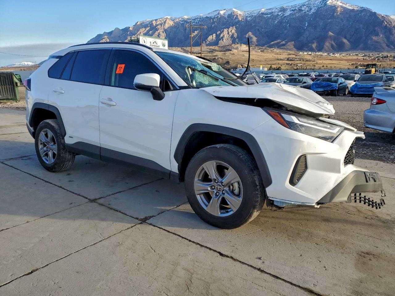 Toyota RAV4 Xle Image 8