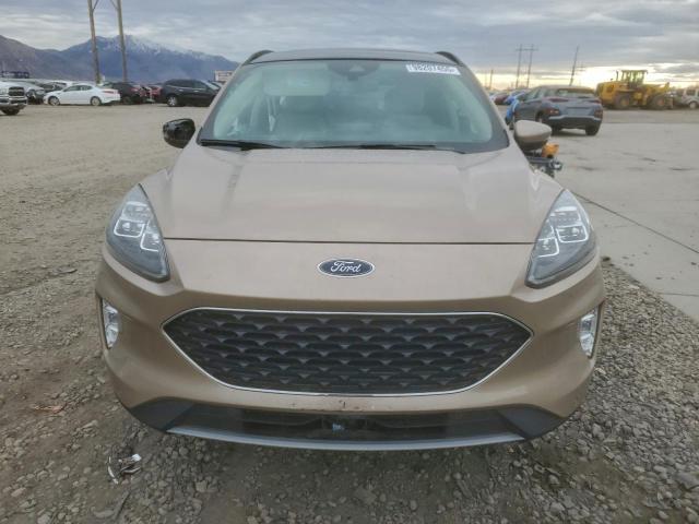 Ford Escape Titanium Image 11