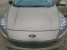 Ford Escape Titanium Image 12