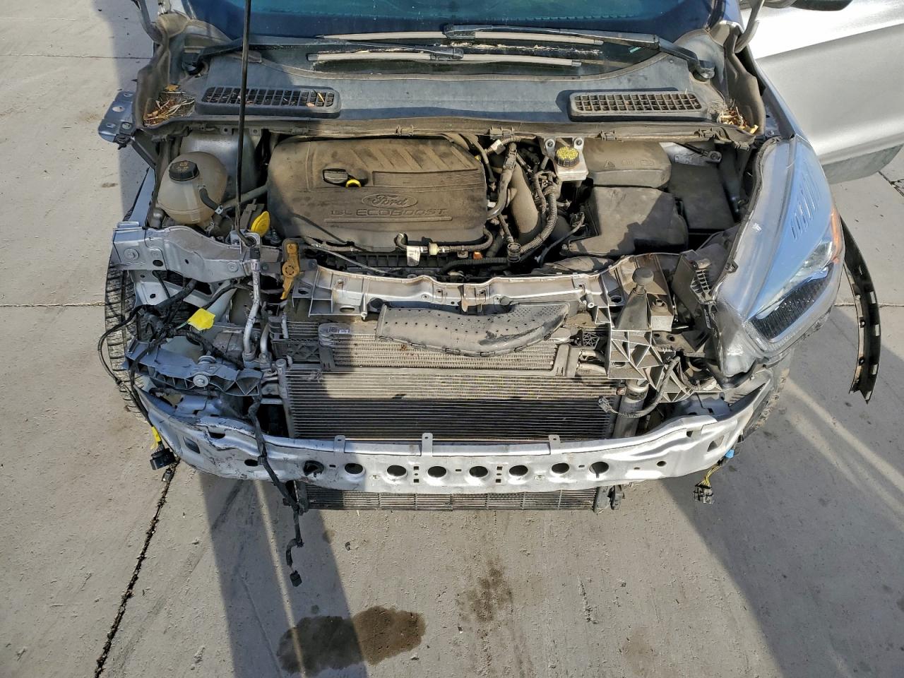 Ford Escape Sel Image 11