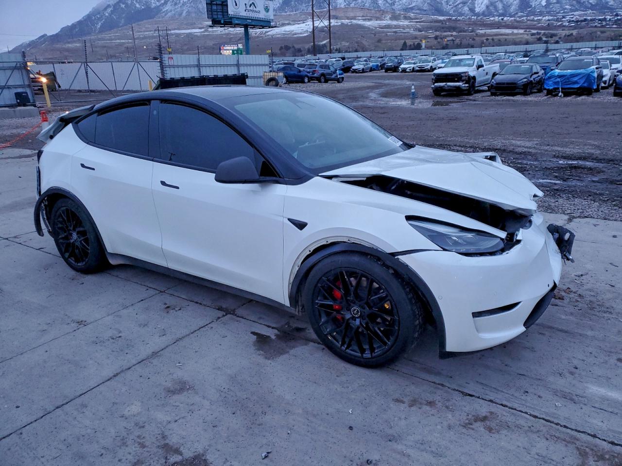 Tesla Model Y Image 12