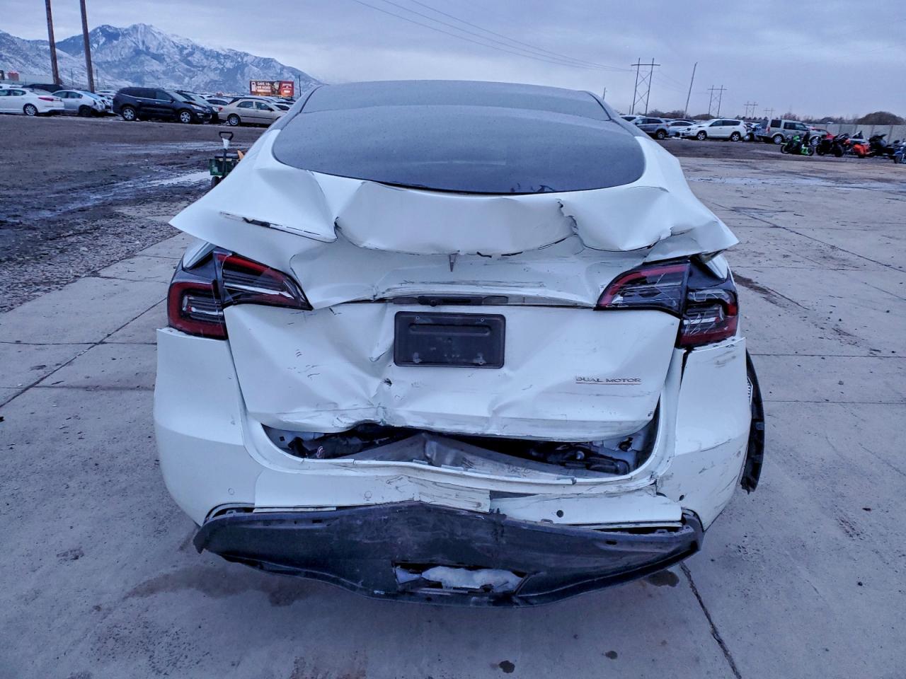 Tesla Model Y Image 5